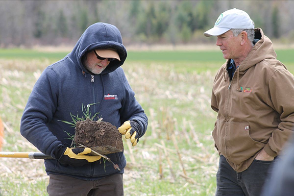 spring field day